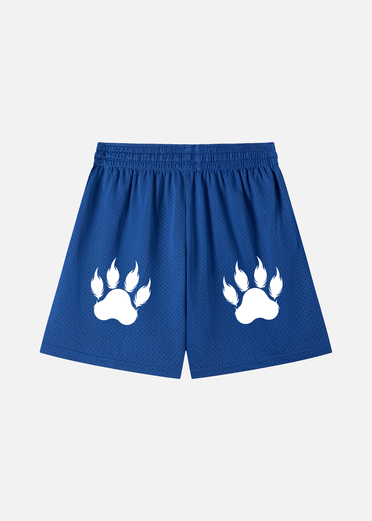 Brody Colourful Blue Mesh Drawstring Shorts