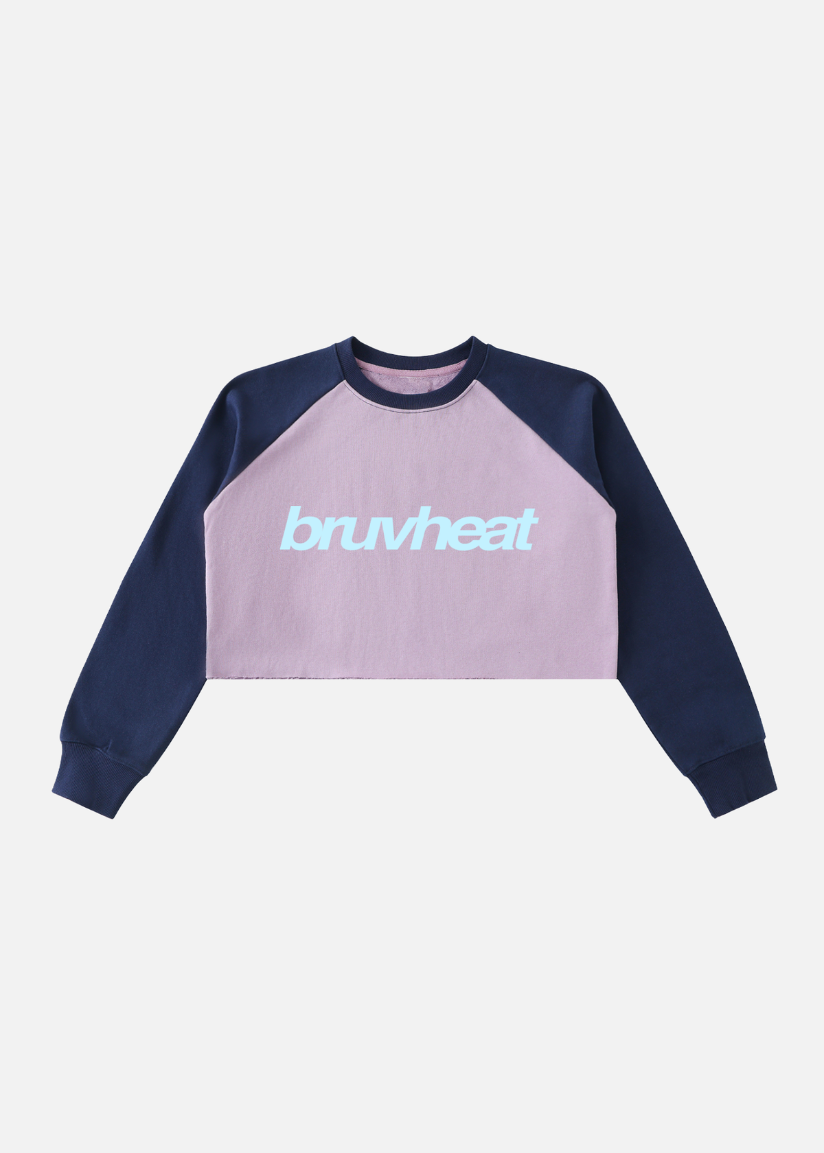 Vice Colour-Block Purple & Royal Blue Raglan Crop Sweatshirt