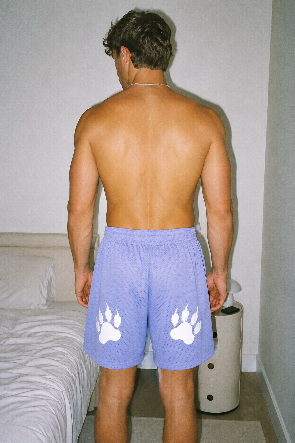 Brody Purple Mesh Drawstring Shorts