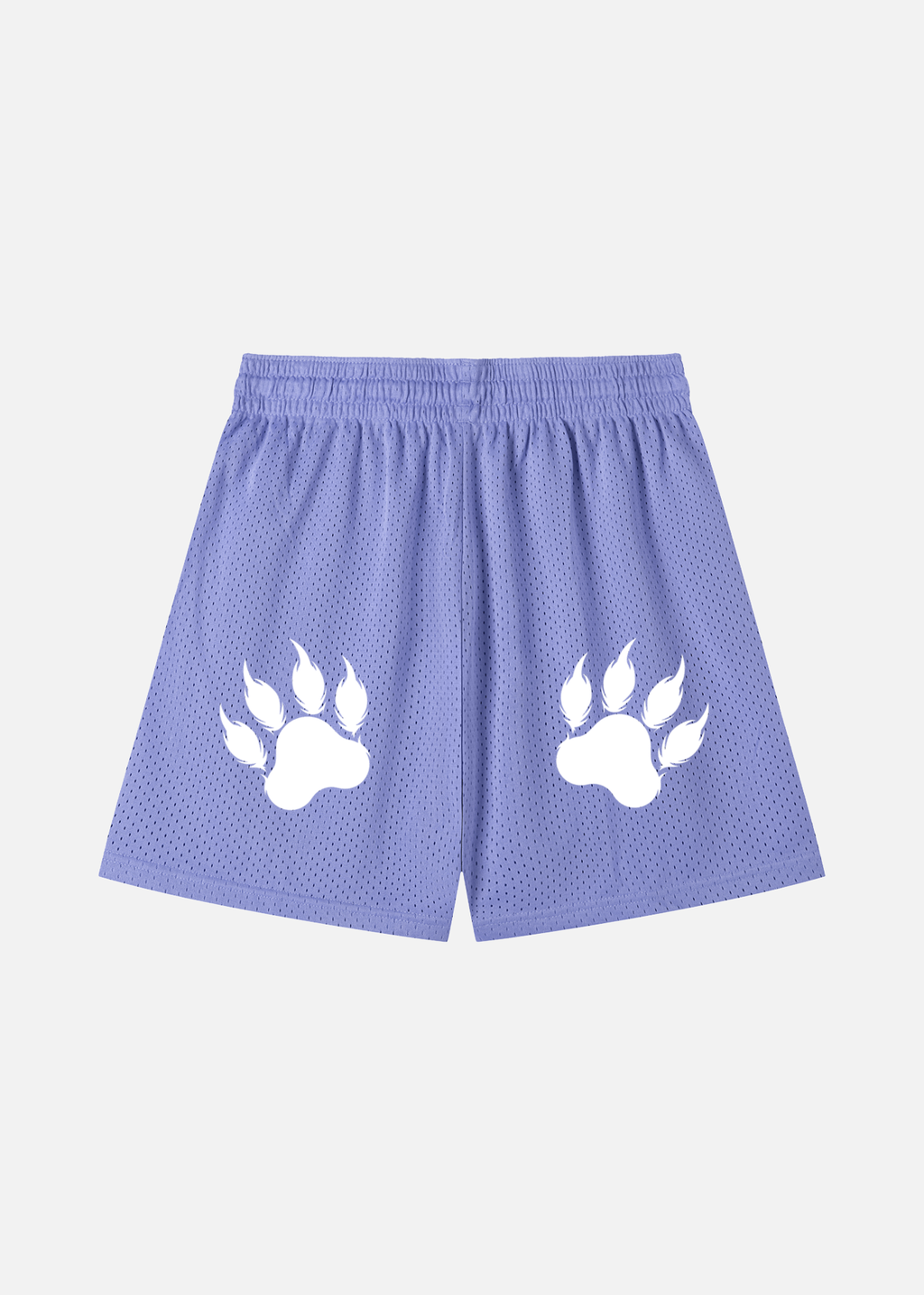 Brody Purple Mesh Drawstring Shorts