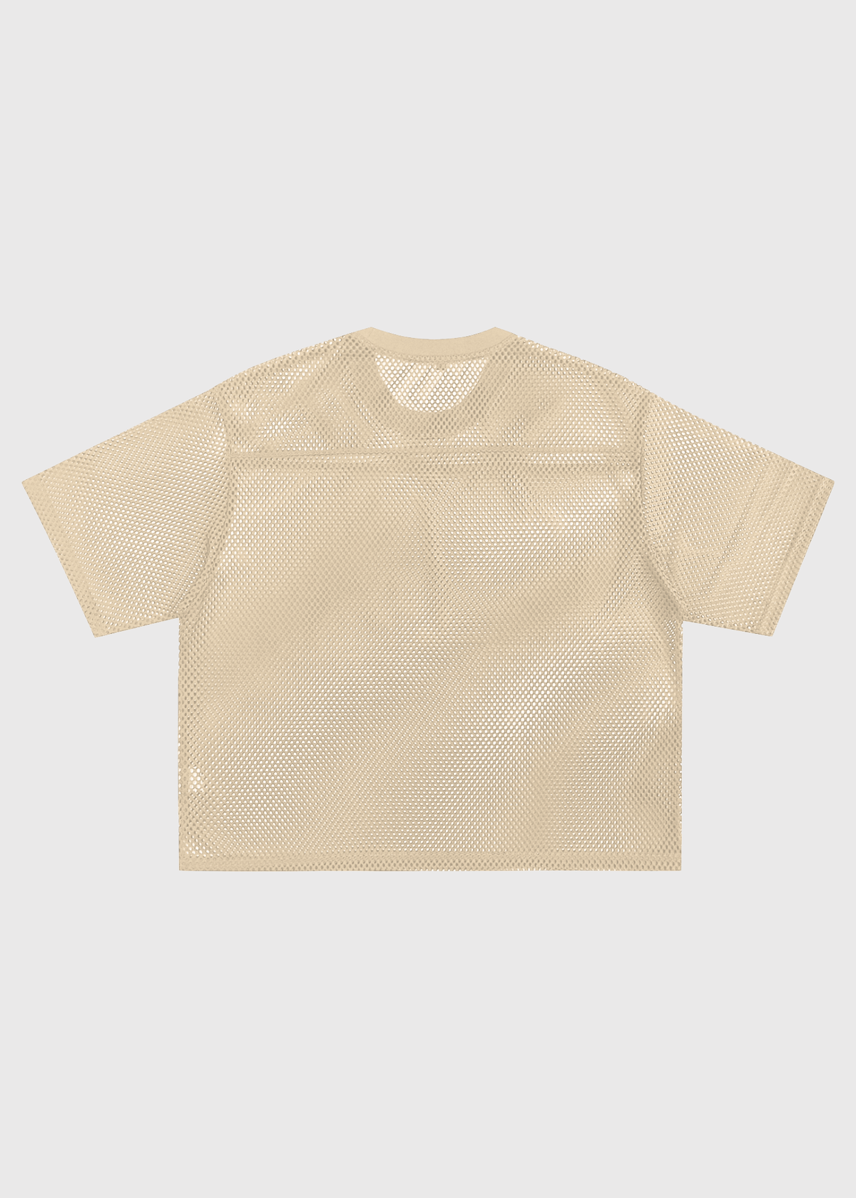 Afterglow Apricot See-Through Mesh T-Shirt